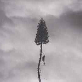 Manchester Orchestra ‎– A Black Mile To The Surface  (2017)     CD