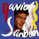 David Sanborn ‎– A Change Of Heart  (1987)