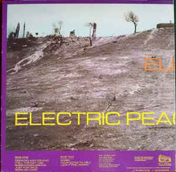 Electric Peace ‎– Road To Peace  (1989)