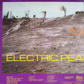 Electric Peace ‎– Road To Peace  (1989)