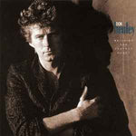 Don Henley ‎– Building The Perfect Beast  (1991)