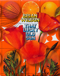 Brian Wilson – That Lucky Old Sun  (2008)     CD