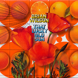 Brian Wilson – That Lucky Old Sun  (2008)     CD