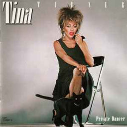 Tina Turner ‎– Private Dancer     CD