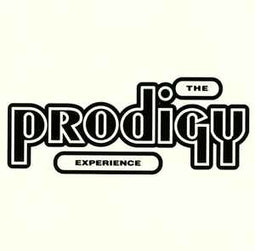 The Prodigy ‎– Experience  (1992)     CD