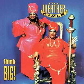 The Weather Girls ‎– Think Big!  (1995)     CD