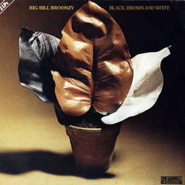 Big Bill Broonzy ‎– Black, Brown And White  (1978)