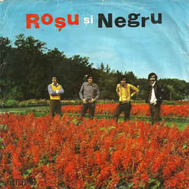 Roșu și Negru* ‎– Alfabetul / Hai Acasă